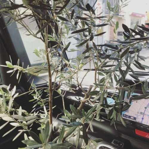 64034043-6b40-4d27-ab3d-71c843d55b15