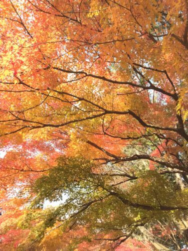 7642edac-1261-4157-9160-589ff998d3fb