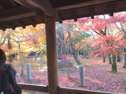 f07c80fc-e107-4448-a050-b12e2080de29