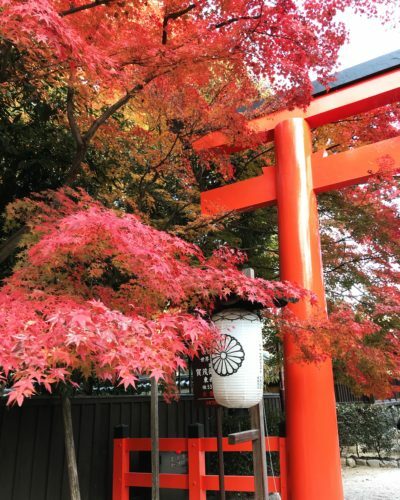 bbecad5d-d9ef-40a1-9307-23c56f5ab606