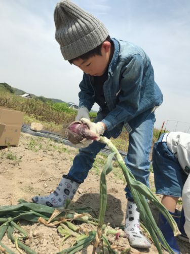 343d9e02-9dce-46e5-bacc-e0981711deba