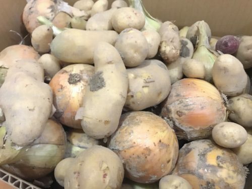 7f937402-e698-4651-b767-95045404fa5a