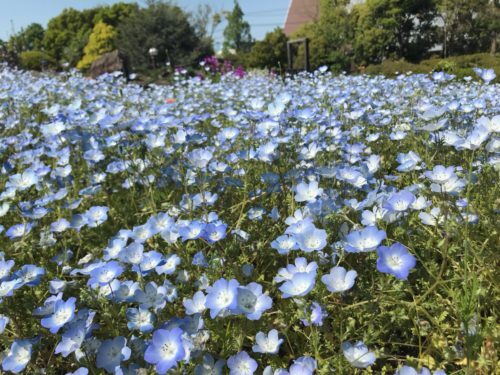 fbaace39-c172-408a-b4dc-f74785e7bf24