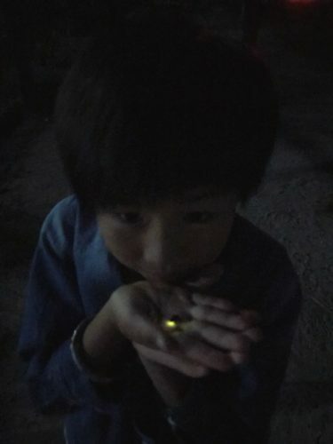 0150593f-6c80-4112-b314-23b2764240ec