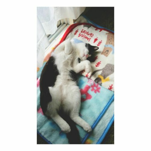 061f0603-a9fd-4c97-95b0-0f60276db62a