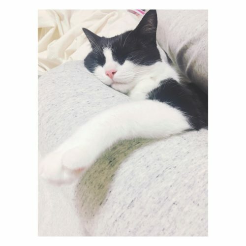 4fbfa80c-7a50-4347-b820-376f5645ef4b