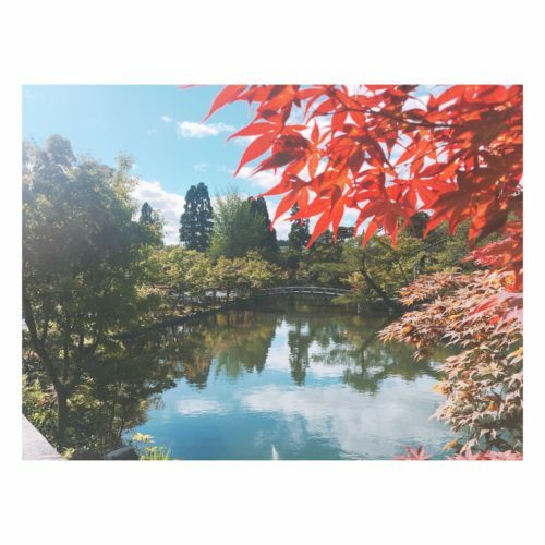 dd90202c-a0a2-445b-bf6a-5dd172dfba9b