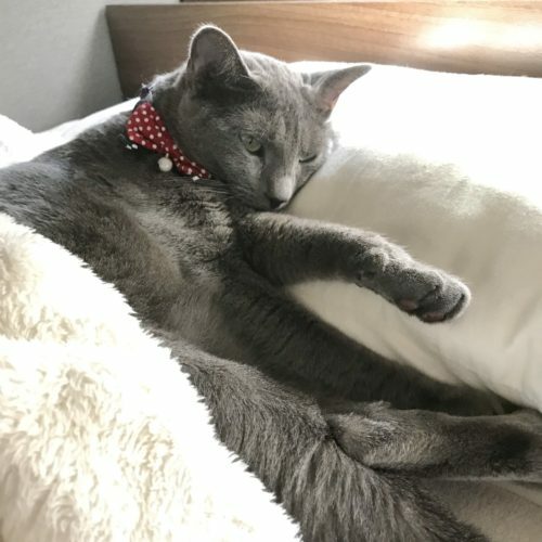 06981a9b-a93a-4a6c-b1f2-fb332443cdb0