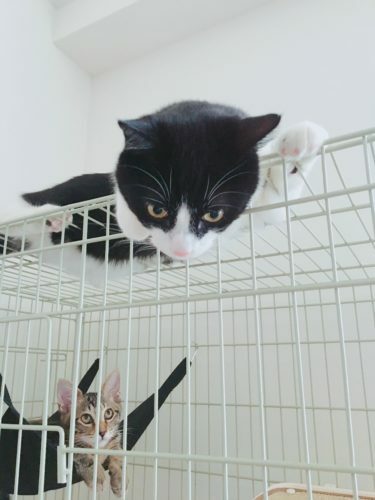 91a12aee-19f1-417f-88a4-6112f02a7bd7