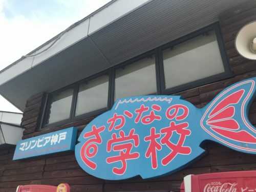 3b31584d-e780-4799-b480-50e4a46eeb4a