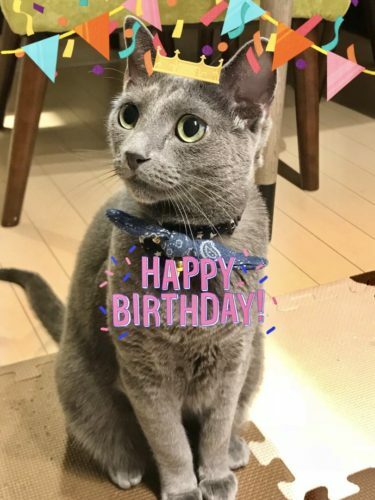 700b05f5-b119-4529-a74f-34f684dd2f05