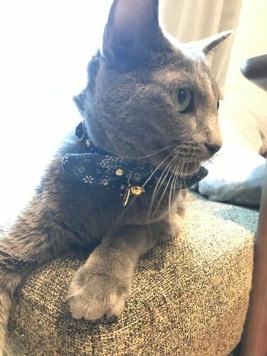 77dda315-d223-4ce7-b22f-18471cf4123a