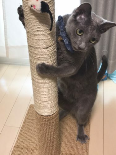 98091e76-5a49-46c1-9aa9-b9e54bc6b80d