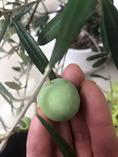 b03eeeb8-76c8-40d8-b972-72924c7f6d87