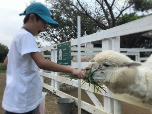 d3922e3d-cfa2-463c-bd19-fb4e83eed938