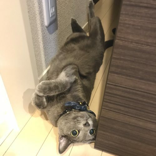 031f0c06-d396-4f73-9863-b05ce51ffc24