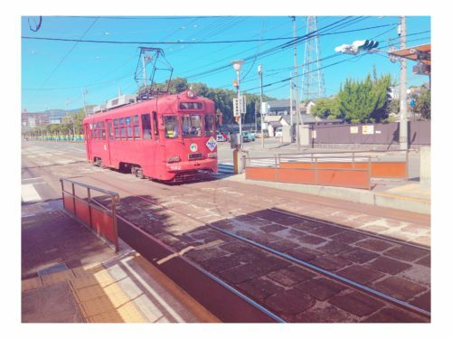 03aa96cf-ccb4-4a19-b4c7-f7968f46f445