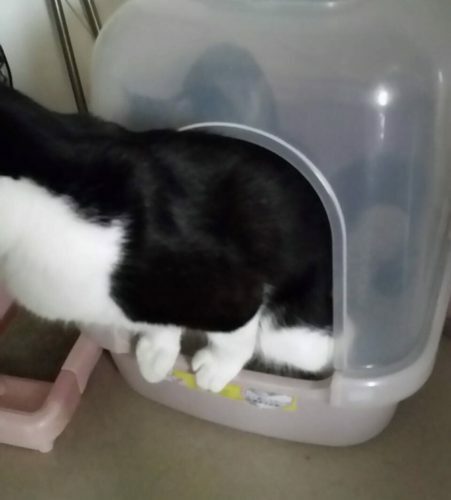 07240340-859e-4d80-ae49-fe792d571d73