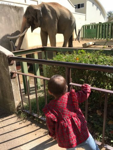 79b775ac-9bad-4719-97dc-ea0143a8ff67