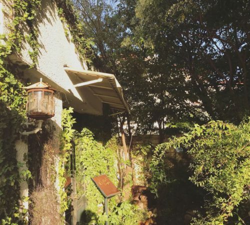 7e457244-715c-44a1-a134-0de3f19767bd