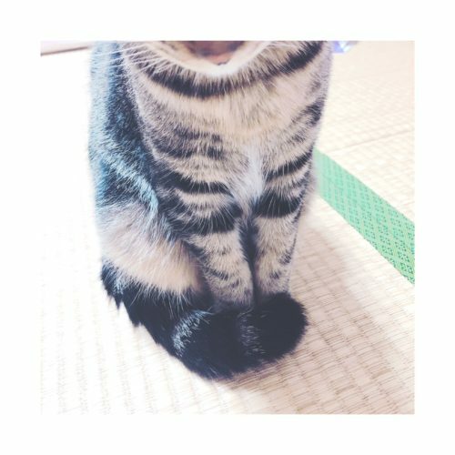 8a2bee27-296a-4aa1-85b7-7d912faae624