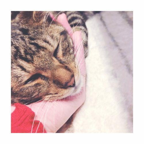 a426e5d0-e085-4714-9dc3-47dc4f95278e