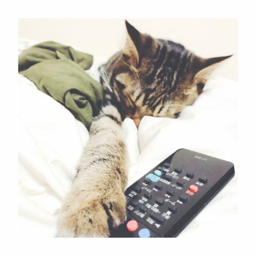 cee41458-5980-4360-bfad-8f79edc63b07