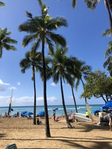 08e0023a-b8fd-4bf7-a615-108b405b18f6