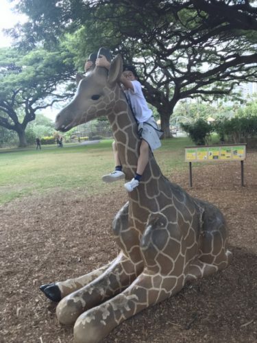 3c3c87bd-d00b-450e-aa1e-e07aba683778