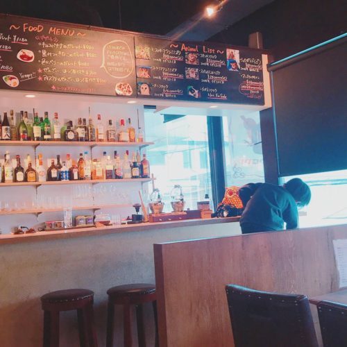 81b3df0d-e2e2-4a0f-9769-2f24e7c22cb6