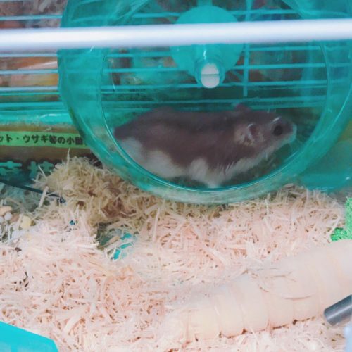 8c313315-3ac2-4cbc-bbd9-70a311362c1a