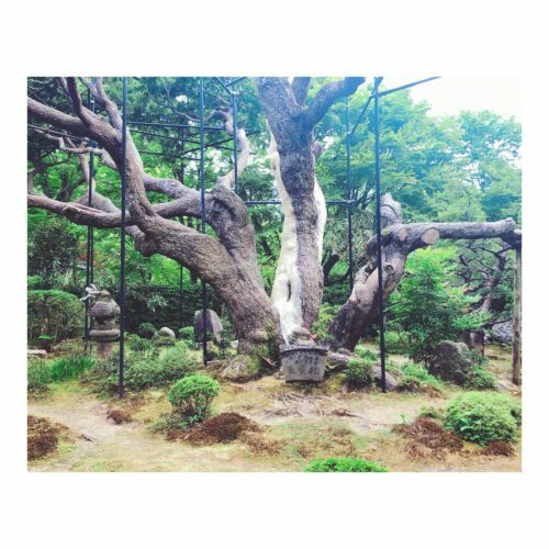 322ca887-8d5b-4755-a389-27921ee75036