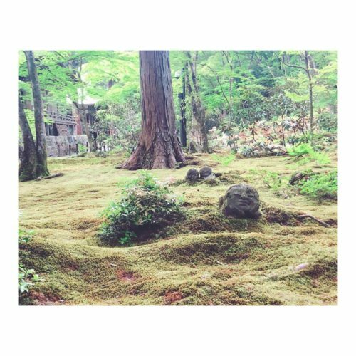 8b770ea4-e556-4000-87a2-1121dcb232ee