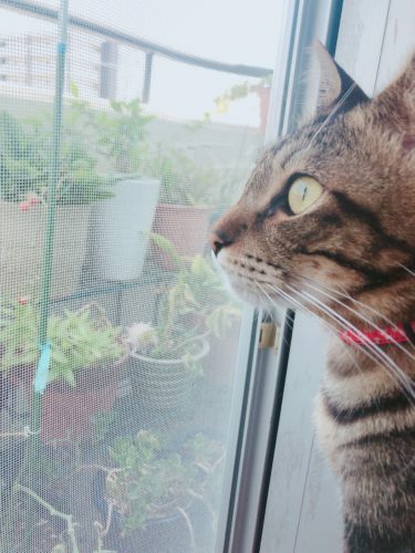 6179e610-1de8-4d07-8335-c2aae2ad3d91