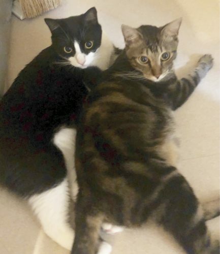 89342258-5256-462f-a8e7-82aadfec5ac2