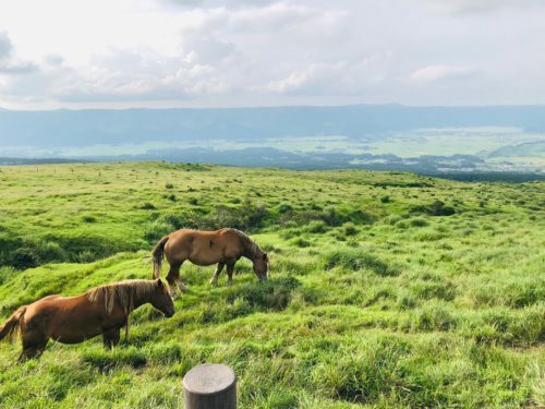 8dad28a8-f729-4662-ab0a-b23dbeadaf12