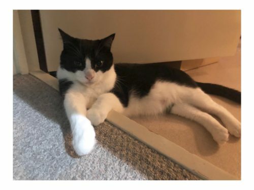 4c9dbc9a-7308-4957-8a87-12a74d9f5679