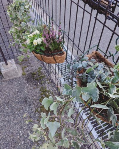 img_20191108_211546_976