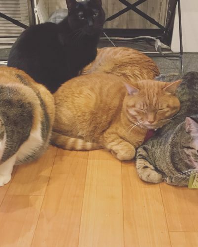 a50a6011-e68e-417d-9cc1-2b48ffd23431