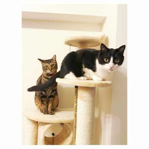 e0fa02b1-0833-40fb-acbd-64a90902aaba