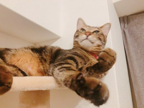 228a7794-5cb1-487e-a9e2-646d35c609e2