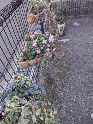 beautyplus_20200407203127456_save