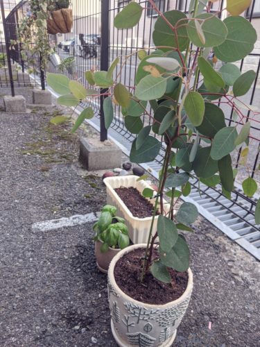 beautyplus_20200407203208438_save