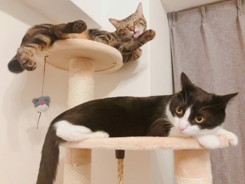 c464dd40-2b1e-440f-9f40-cea6fa54a5ee