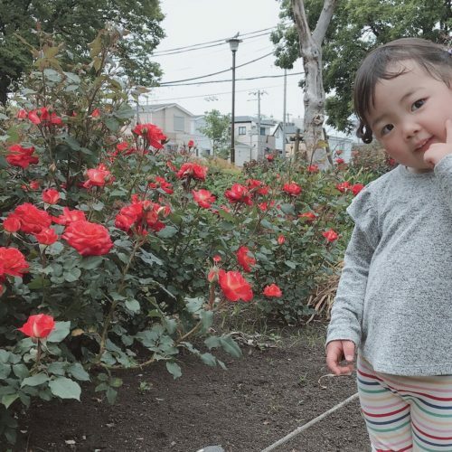 9467d1f2-0c66-48e1-9aee-3650adee6520