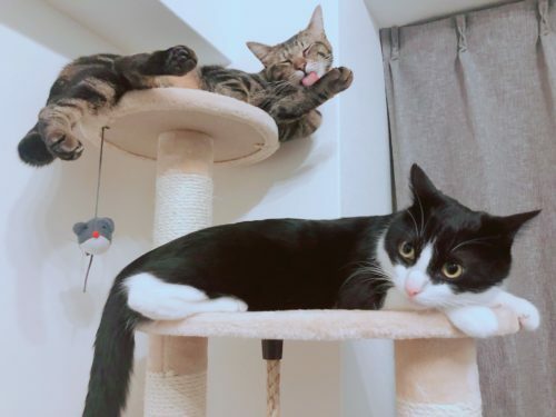 08d08b29-2803-4850-9bb0-9c9905f7dafa