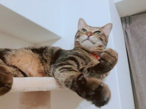 656837b2-a0a2-4949-814b-622b085995a6