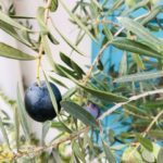 3d7e208d-3ab4-4988-abf6-7e2efdbabe86