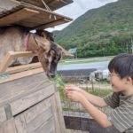 beautyplus_20201013101026920_save