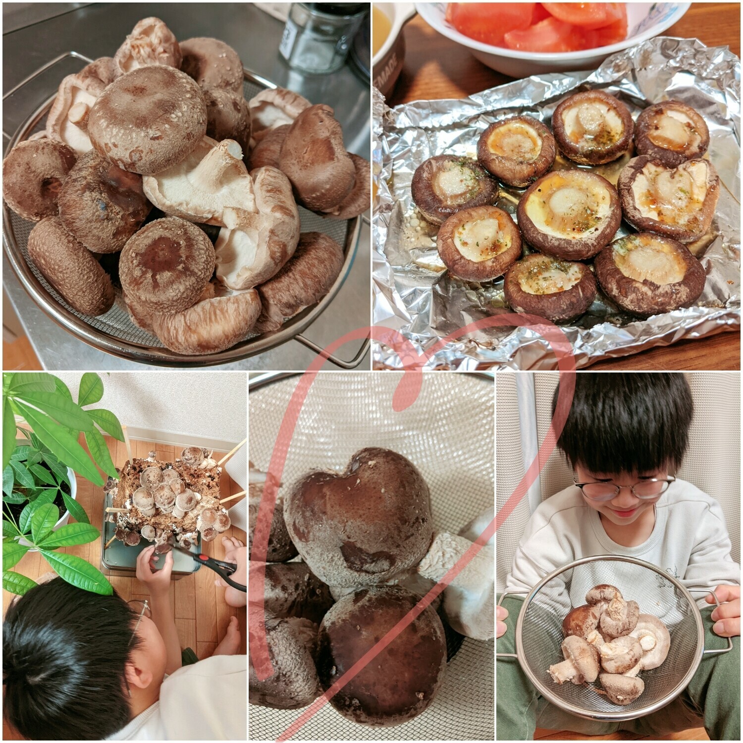 beautyplus_20210309195417090_save